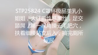 STP25824 C罩杯极品美乳小姐姐，大红唇性感黑丝，足交舔屌，第一视角操无毛肥穴，扶着细腰站立后入，搞完厕所尿尿