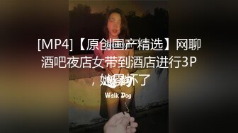 网调2号小母狗（中）（有露脸完整版）可交换