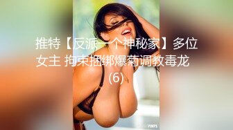 清扫员の爆乳妻NTR 耻辱のねとられビル清扫 春菜はな