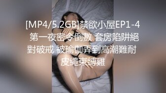 大叔蜗居双飞双胞胎姐妹花