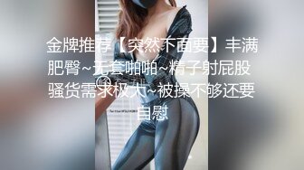 肤白貌美丰乳肥臀 极品人间胸器 桜井宁宁主人的任务[95P/1.66G]