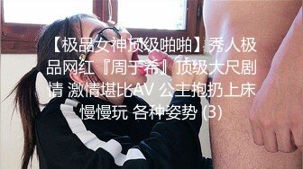 维也纳操骚女