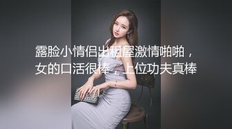 后入女仆前女友