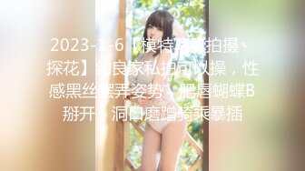 2023-1-6【模特写真拍摄丶探花】约良家私拍可以操，性感黑丝摆弄姿势，肥唇蝴蝶B掰开，洞口磨蹭骑乘暴插