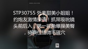 爆乳E奶极品女神Ailen火爆性爱