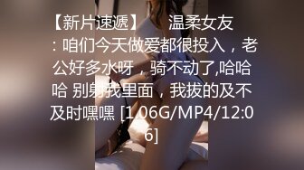 π1107 想拥有后宫吗？我教你！