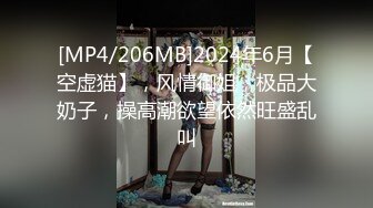 4K好利来服务员小姐姐肉色小翅膀破洞1(1)