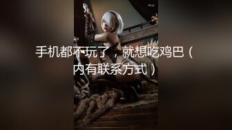 SONE-456 巨乳美女是肉玩具隨我調教任我插還可以...(AI破壞版)