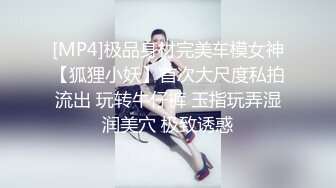 黑丝体操服 (3)