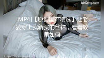 小彩虹的大长鸟