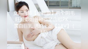 大干已婚少妇