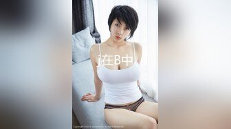 [簡中]彼女がネコミミに著替えたら