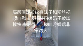 国产麻豆AV MD MD0192 女优面试员 徐蕾