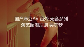 封疆疆v - saber 旗袍