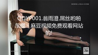 【绝版资源】超高气质华人腿模「女神丝丝」「sexy.coco」OF私拍 黑丝美腿蜂腰【第一弹】 (3)