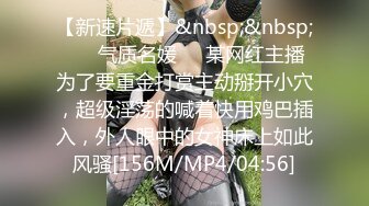 MIBB-038 高衩泳裝美巨乳看到肉棒硬梆梆從後插入幹到爽(AI破壞版)