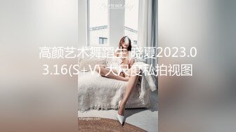 高颜艺术舞蹈生 晓夏2023.03.16(S+V) 大尺度私拍视图