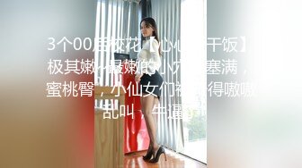 极品SEXBook各种姿势持续调教00后年女友 骚逼真耐草[MP4/236MB]