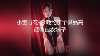 小宝寻花-今晚约了个极品高颜值白衣妹子