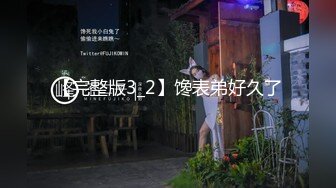 [MP4/545MB]麻豆傳媒 MKYSL011 夏夜靡遺 窗外飛來的胸罩 秦可欣