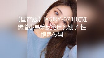 【国产版】[XSJKY-073]斑斑 黑道小弟策反抢巨乳嫂子 性视界传媒