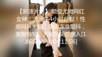 [MP4]颜值区转黄播极品美女，性感红色透视装，D罩杯顶级美乳，半脱下内裤露美臀，揉捏奶子超级柔软