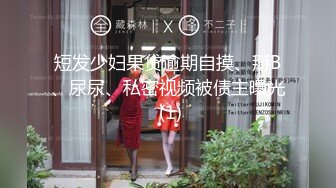 麻豆傳媒 MDSJ0008 性犯罪者牢房 強製淩辱歐洲杯女球迷 艾熙