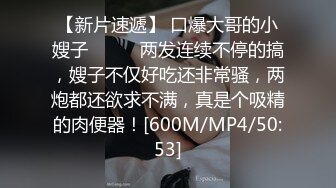 [MP4]FLIXKO-MFK0029 麻豆传媒 妻子跟小姨 VIP0600