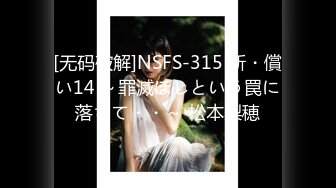 [无码破解]NSFS-315 新・償い14 ～罪滅ぼしという罠に落ちて・・～ 松本梨穂