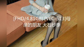 [FHD/4.81GB] [VEC-513]母亲的朋友 大石纱季