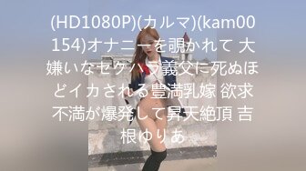 (ddk00221)発情期トリップ！清純な姪っ子に襲われる！ 倉本すみれ (2)