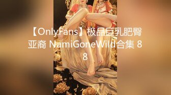 【OnlyFans】极品巨乳肥臀亚裔 NamiGoneWild合集 88