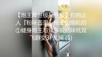 P站⭐ HouseBitchy ⭐视频合集，国产收割机推荐 —— P站第十三弹【123V】 (46)