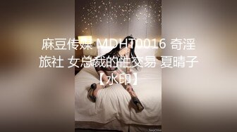 麻豆传媒 MDHT0016 奇淫旅社 女总裁的性交易 夏晴子【水印】