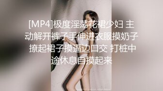 [MP4]极度淫荡花裙少妇 主动解开裤子手伸进衣服摸奶子 撩起裙子摸逼边口交 打桩中途休息自摸起来