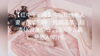 【红牛干到底】今夜知性美人妻，风情万种，妩媚淫荡，超清4K设备偷拍，浪叫不止真是男人榨汁机