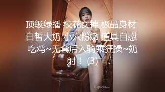 极品网红脸妹子2021.12.09D大尺度人体写真无水印原版