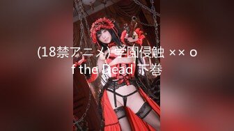 (18禁アニメ) 学園侵触 ×× of the Dead 下巻