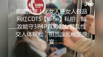 高能预警！比女人还女人极品网红CDTS【sehe】私拍，能攻能守3P4P真男假女混乱性交人体蜈蚣，相当淫乱视觉盛宴