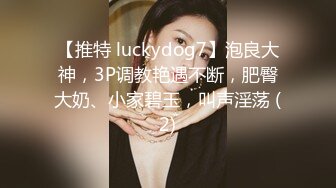 【推特 luckydog7】泡良大神，3P调教艳遇不断，肥臀大奶、小家碧玉，叫声淫荡 (2)