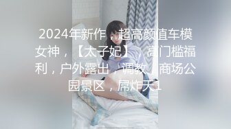 2024年新作，超高颜值车模女神，【太子妃】，高门槛福利，户外露出，调教，商场公园景区，屌炸天1