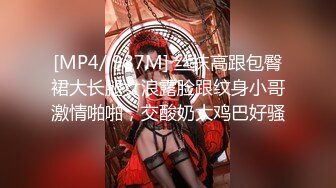 [MP4/ 987M] 丝袜高跟包臀裙大长腿女浪露脸跟纹身小哥激情啪啪，交酸奶大鸡巴好骚