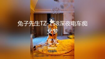 兔子先生TZ-158深夜电车痴女梦