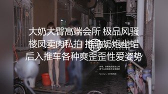 大奶大臀高端会所 极品风骚楼凤卖肉私拍 推油奶炮坐蜡后入推车各种爽歪歪性爱姿势