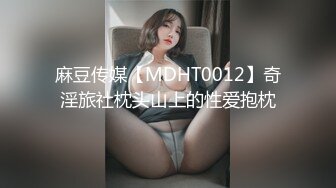 麻豆传媒【MDHT0012】奇淫旅社枕头山上的性爱抱枕