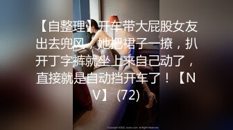 【自整理】开车带大屁股女友出去兜风，她把裙子一撩，扒开丁字裤就坐上来自己动了，直接就是自动挡开车了！【NV】 (72)