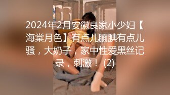 2024年2月安徽良家小少妇【海棠月色】有点儿腼腆有点儿骚，大奶子，家中性爱黑丝记录，刺激！ (2)