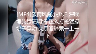 [MP4]激情风骚小少妇 深喉埋头舔逼调情 正入打桩猛操奶子晃动 大屁股骑乘一上一下