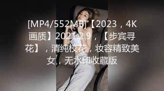 [MP4/552MB]【2023，4K画质】2021.2.9，【步宾寻花】，清纯校花，妆容精致美女，无水印收藏版