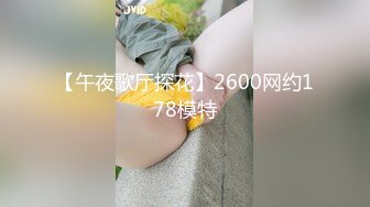 【午夜歌厅探花】2600网约178模特